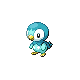 Shiny Piplup